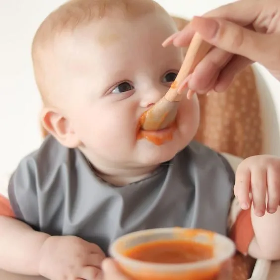 Nutrición Complementaria de 6 A 11 Meses